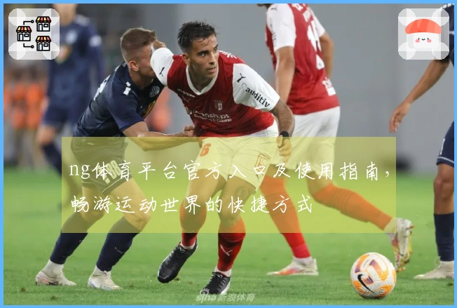 ng体育平台官方入口及使用指南，畅游运动世界的快捷方式