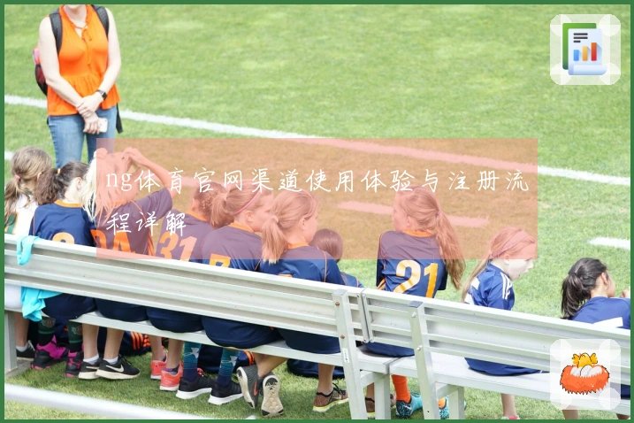 ng体育官网渠道使用体验与注册流程详解