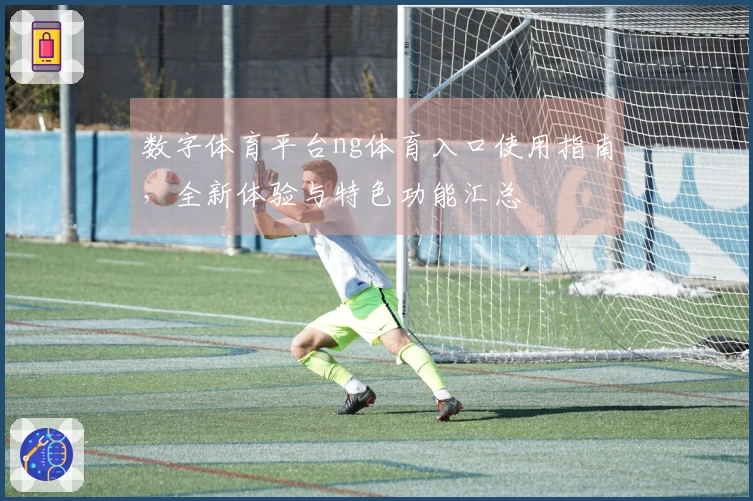 数字体育平台ng体育入口使用指南，全新体验与特色功能汇总