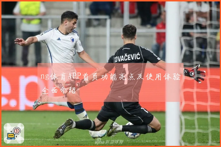 ng体育APP首页功能亮点及使用体验全面介绍