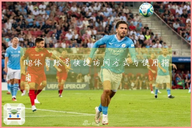 ng体育账号快捷访问方式与使用指南