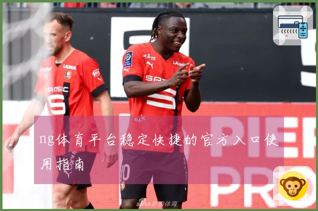 ng体育平台稳定快捷的官方入口使用指南