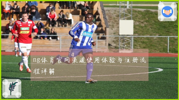 ng体育官网渠道使用体验与注册流程详解