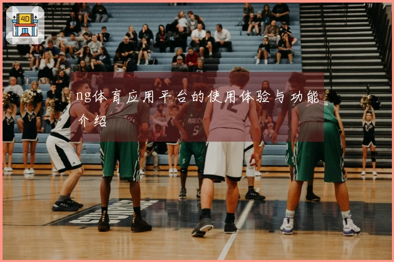 ng体育应用平台的使用体验与功能介绍