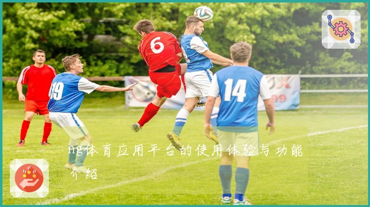ng体育应用平台的使用体验与功能介绍