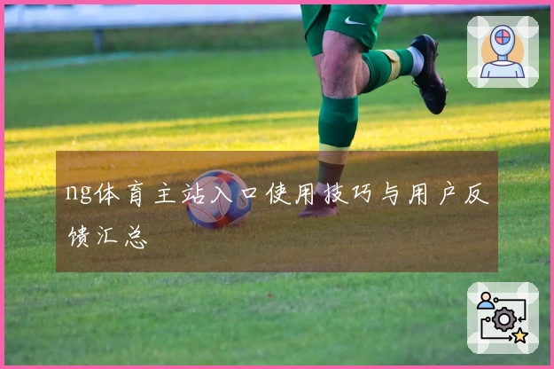 ng体育主站入口使用技巧与用户反馈汇总